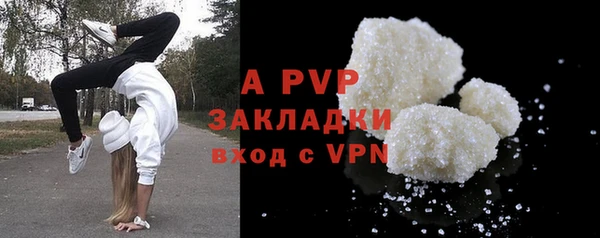 ПСИЛОЦИБИНОВЫЕ ГРИБЫ Иннополис