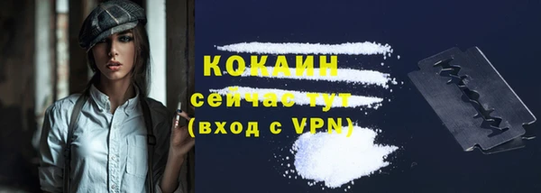 apvp Инта