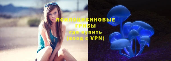 apvp Инта