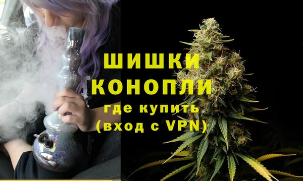 apvp Инта