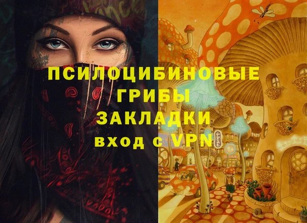 apvp Инта