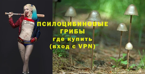 apvp Инта