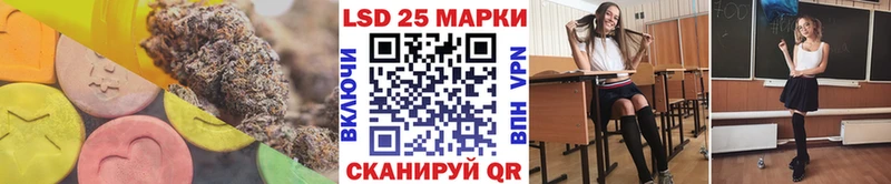 Купить где  Кедровый  Лсд 25 экстази кислота 